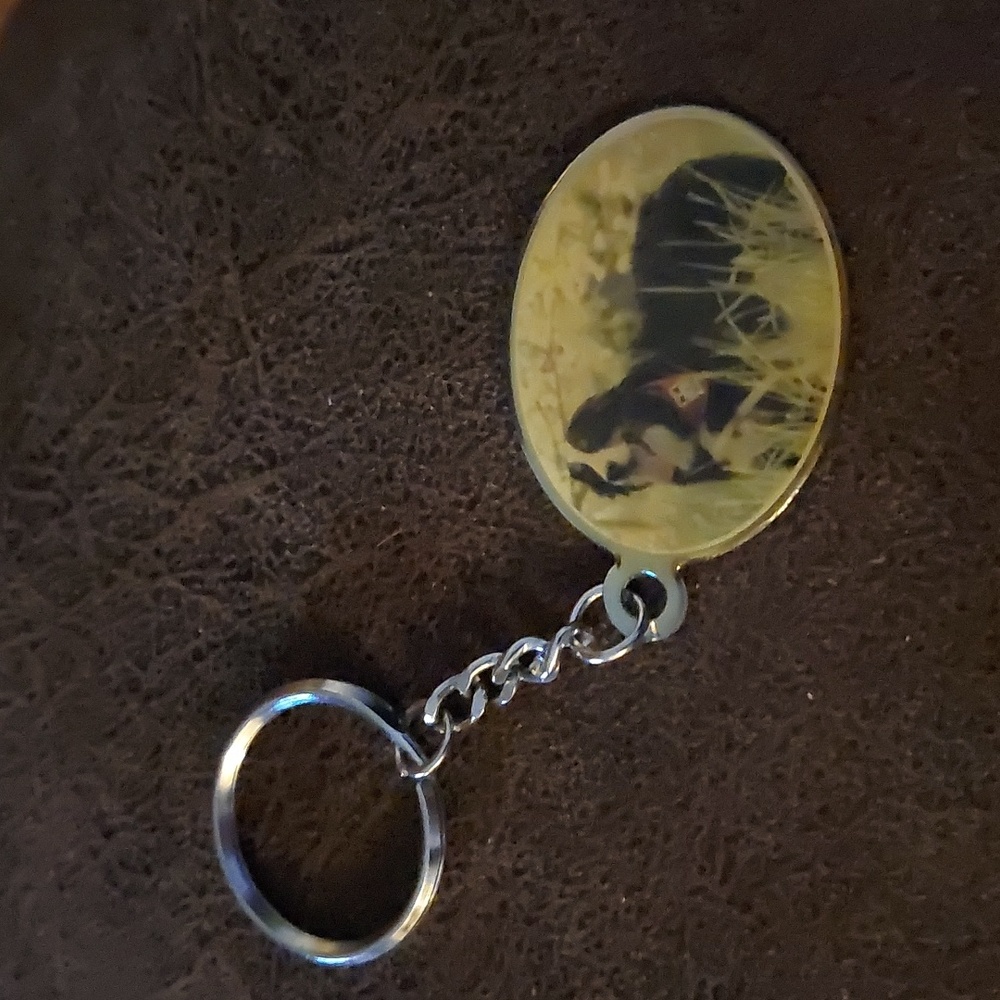 1$ Add on 🌟Mira dog keychain
